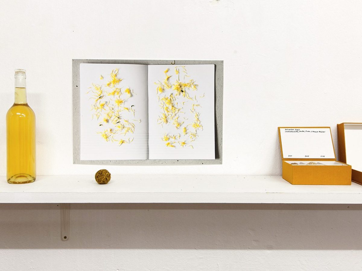 Esther Hiepler – Ausstellung & Performance