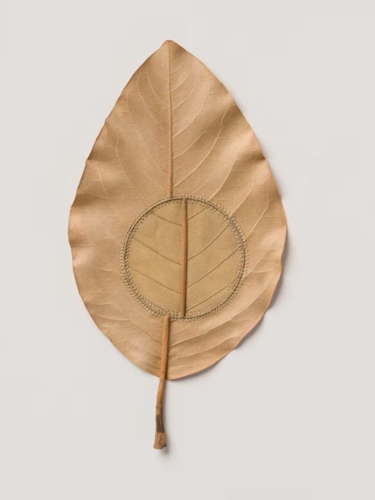 Geflecht – Thematische Ausstellung