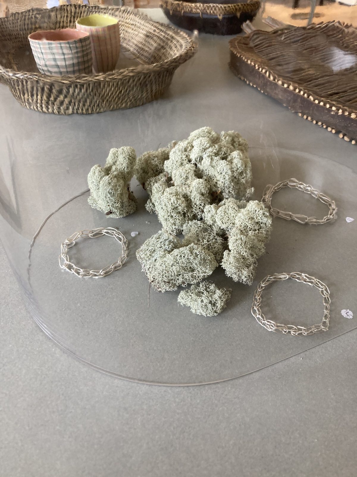 Geflecht – Thematische Ausstellung