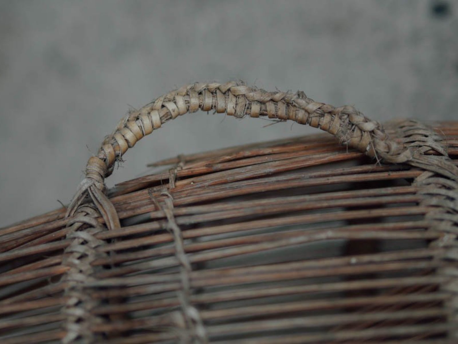 Geflecht &ndash; Thematische Ausstellung