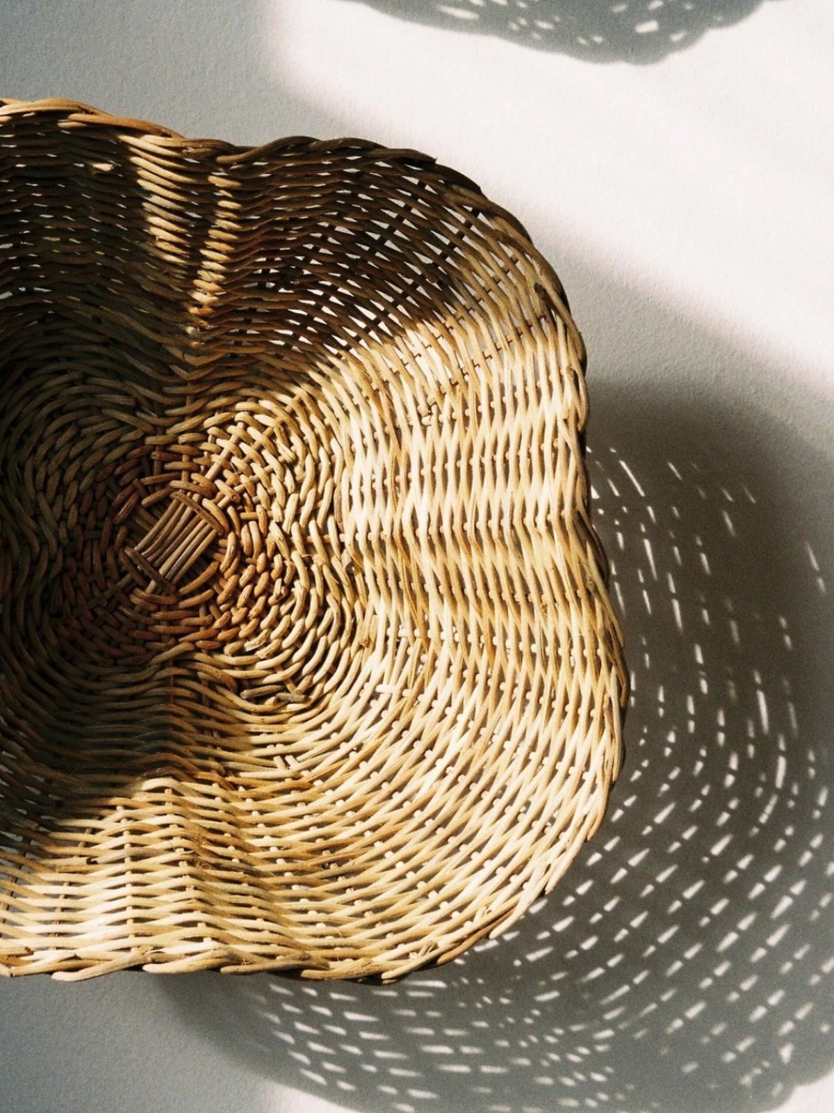 Geflecht – Thematische Ausstellung